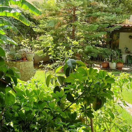 Lovely House Athens Luaran gambar