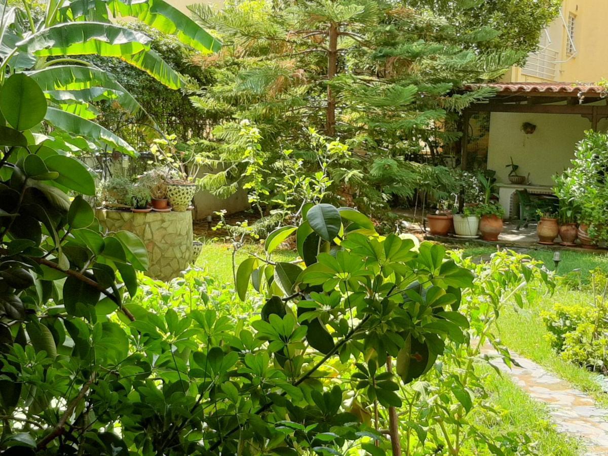Lovely House Athens Luaran gambar